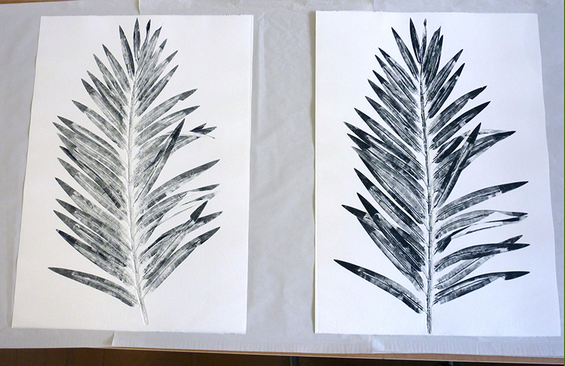 Faux prétendants, monotypes, feuille de palmier, vincent carlier, exposition antipode, galerie HO, Marseille
