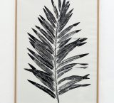 Faux prétendants, monotypes, feuille de palmier, vincent carlier, exposition antipode, galerie HO, Marseille