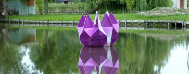 lotosaedre-hortillonnages-vincent carlier 2 lotosaedre-hortillonnages-vincent carlier 2